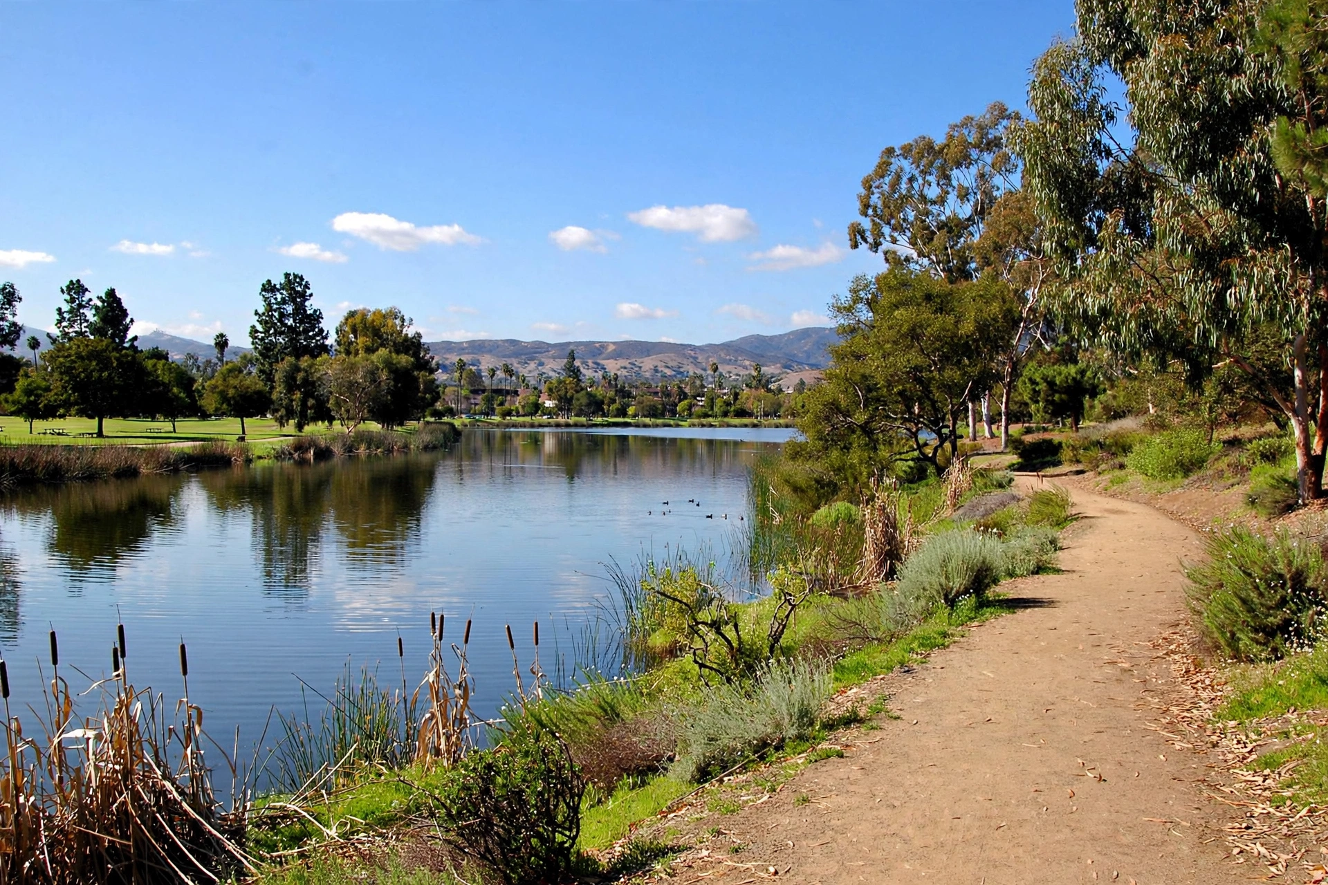 Leak detection in Riverwalk, Santee CA